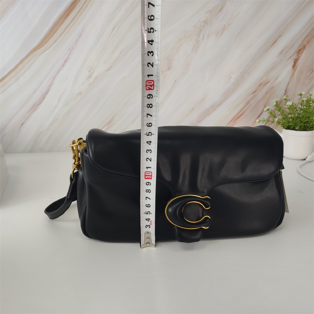 Coach Teri Shoulder Bag In Signature Canvas 20CM