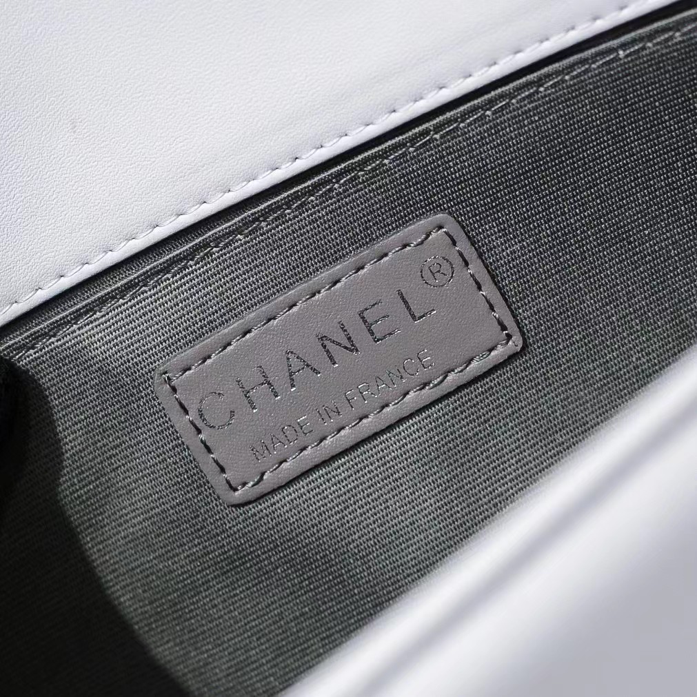 CHANEL 20 Leboy Embroidered Mini Bag with Chevron Pearl