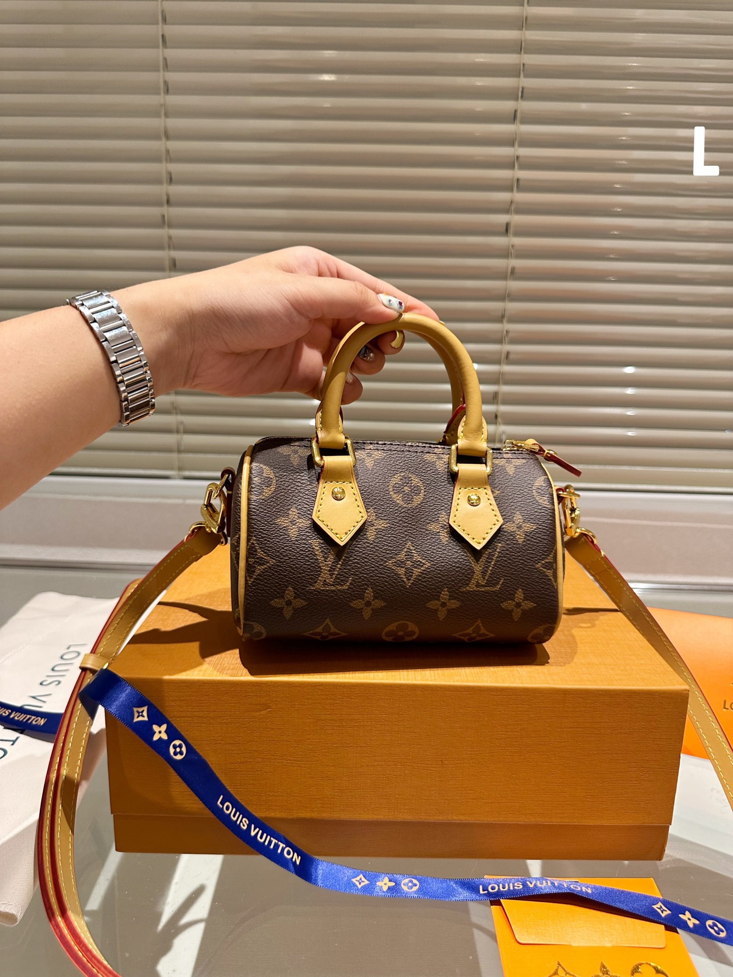 LV Nano Speedy 16 Retiro bag