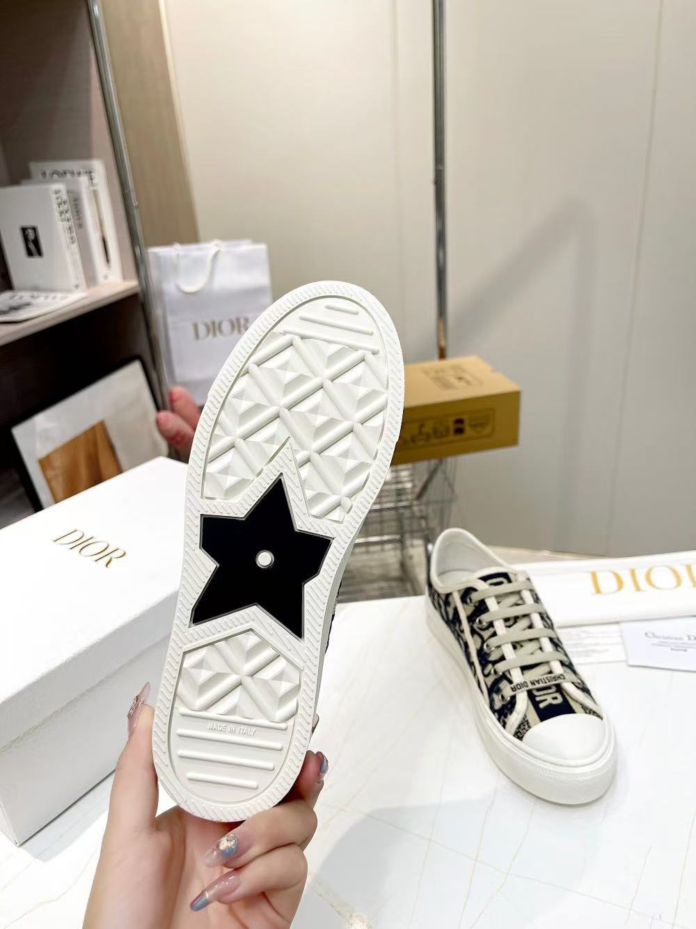 DIOR classic embroidered casual shoes