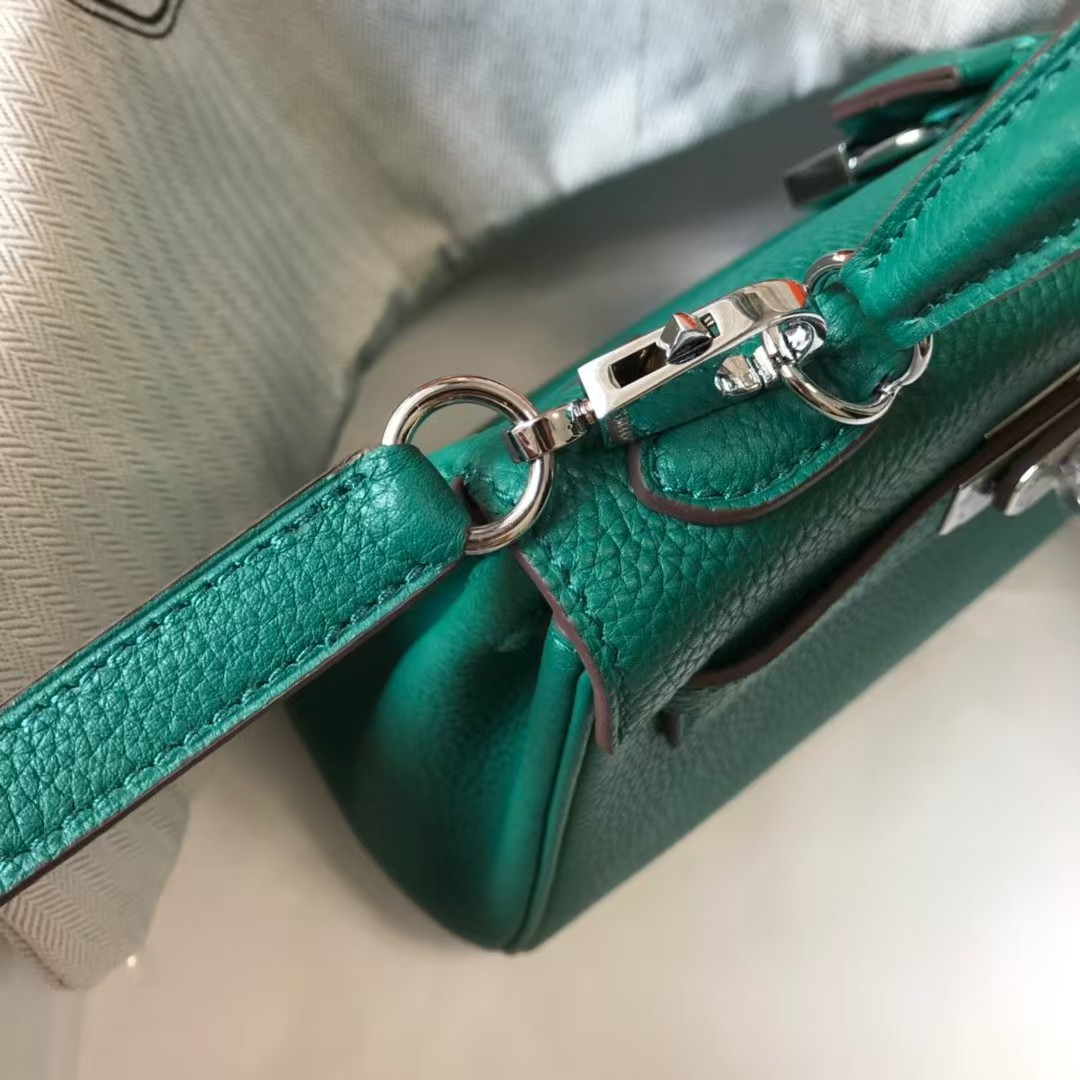 Hermes brikin kelly handbag