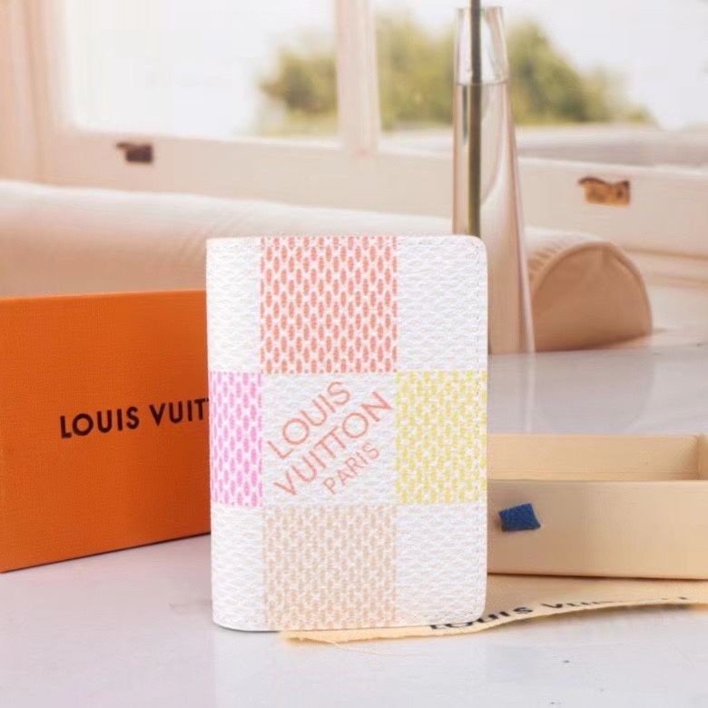 LV Damier Graphite Epi wallet Card holder