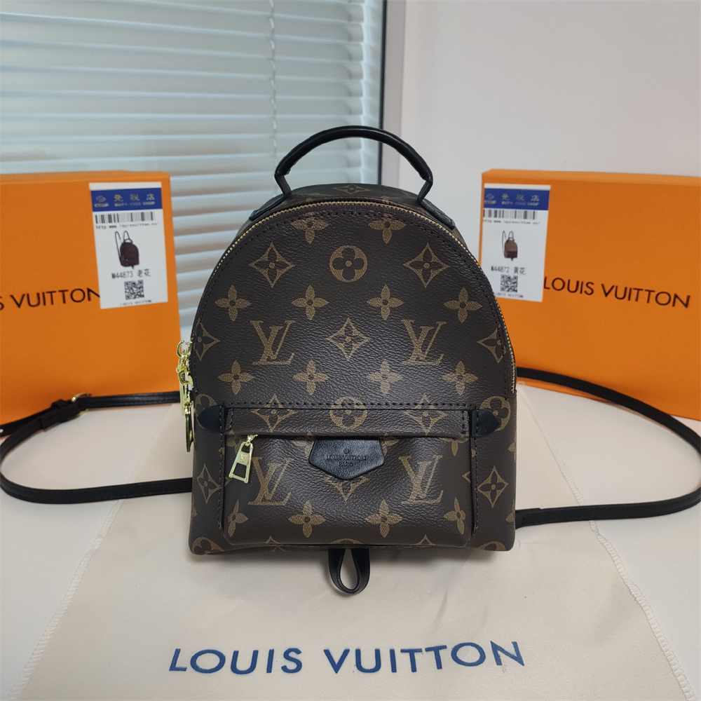 LV Replica Louis Vuitton Palm Springs Backpack