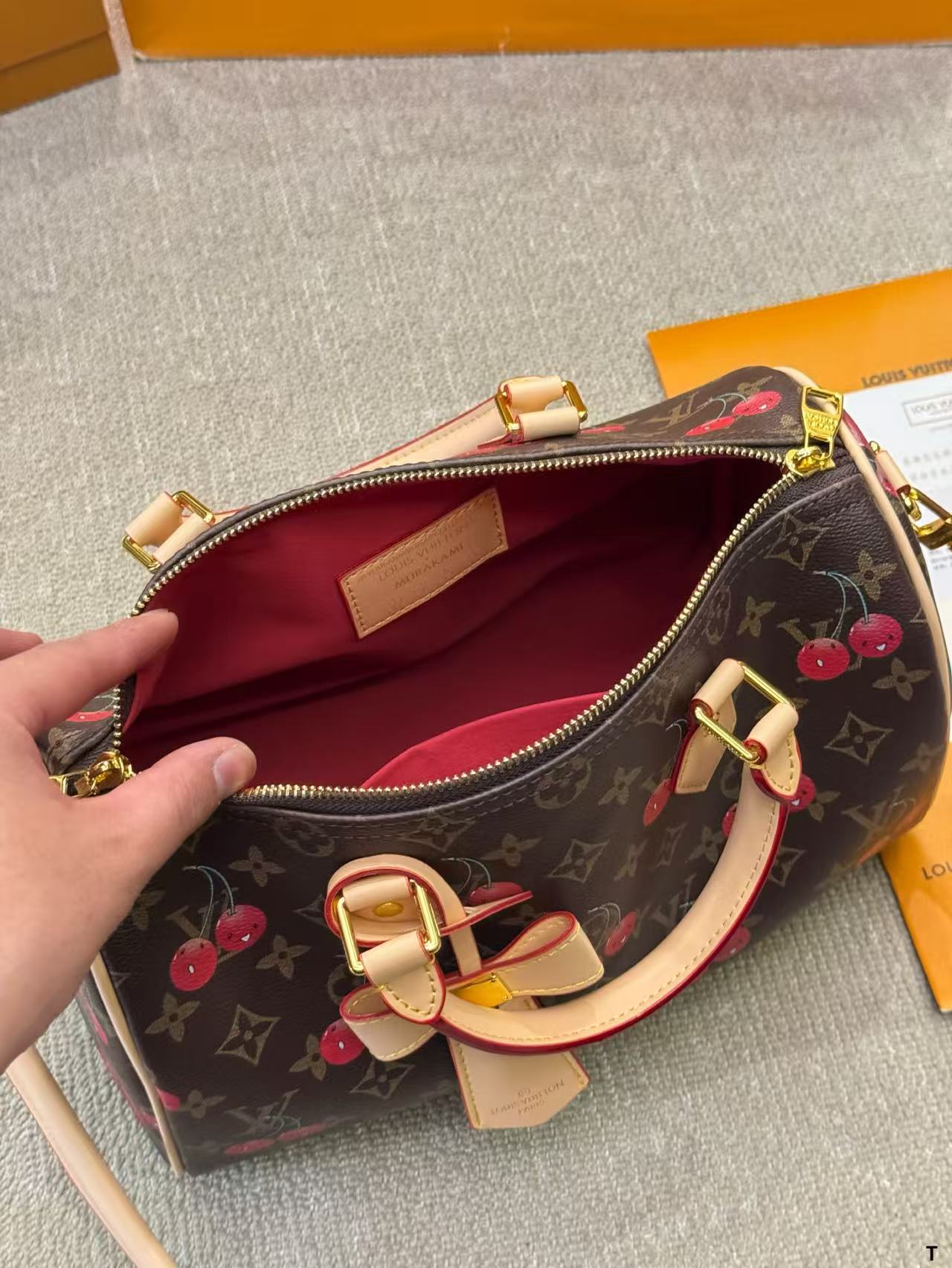 Louis Vuitton Speedy Cherry Print pillow bag