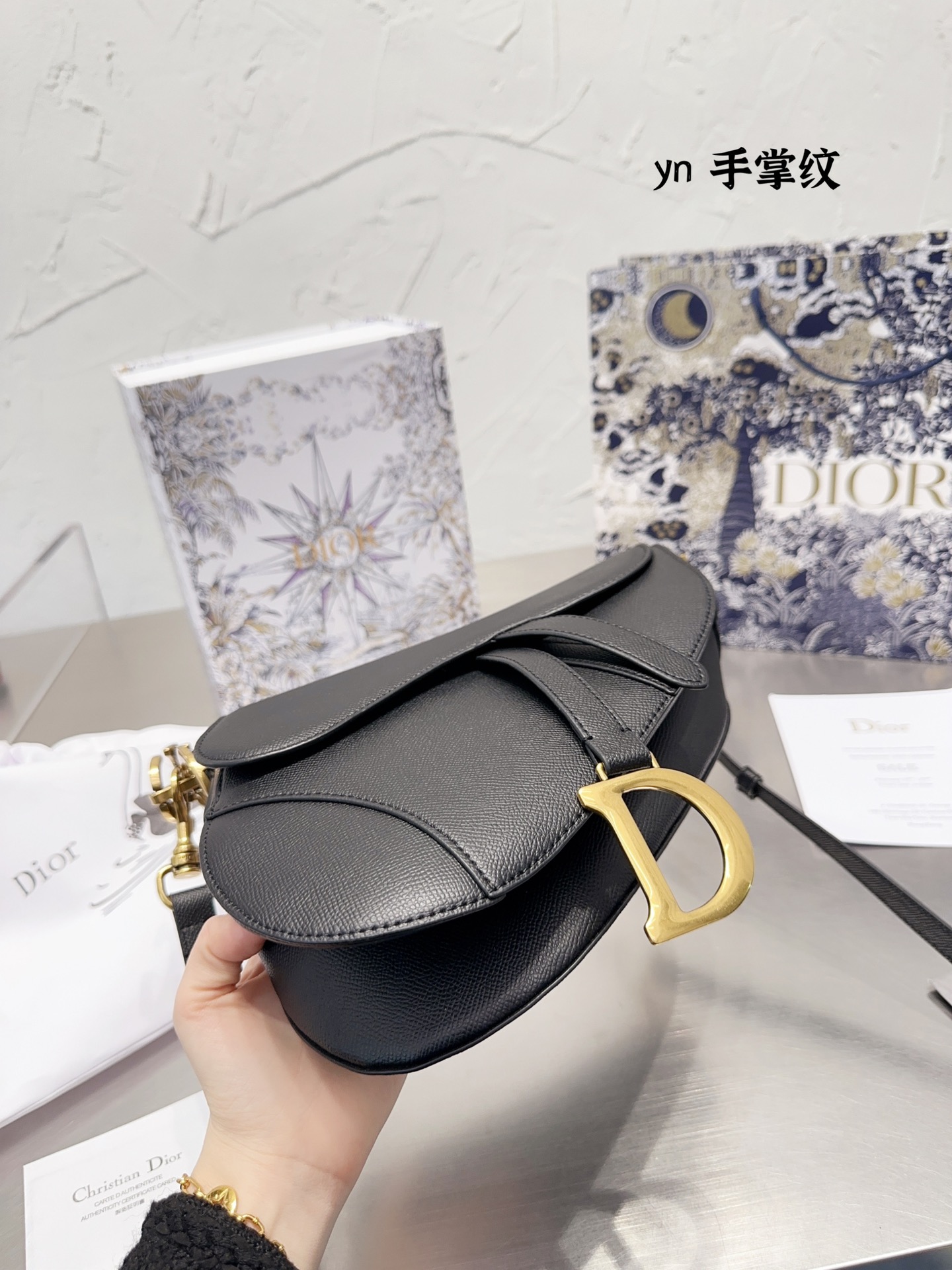 Dior saddle bag