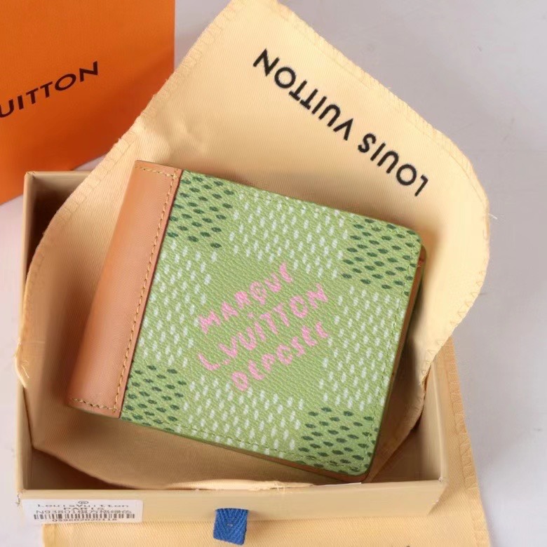 LV Damier Graphite Epi wallet Card holder