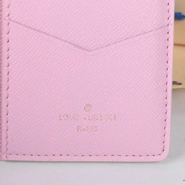 LV Damier Graphite Epi wallet Card holder