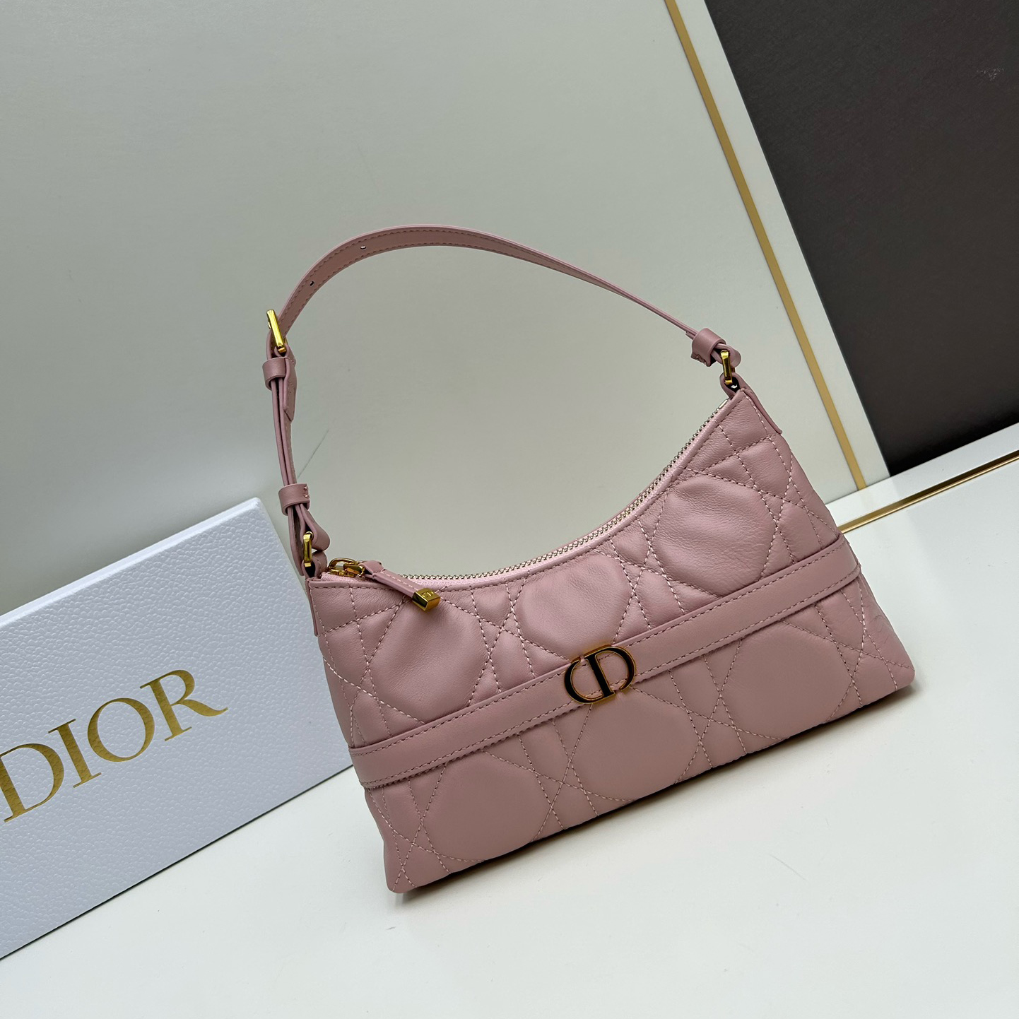Dior oblique shoulder dumpling bag