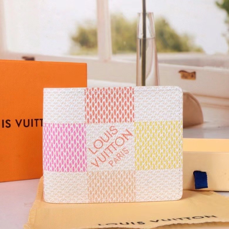 LV Damier Graphite Epi wallet Card holder