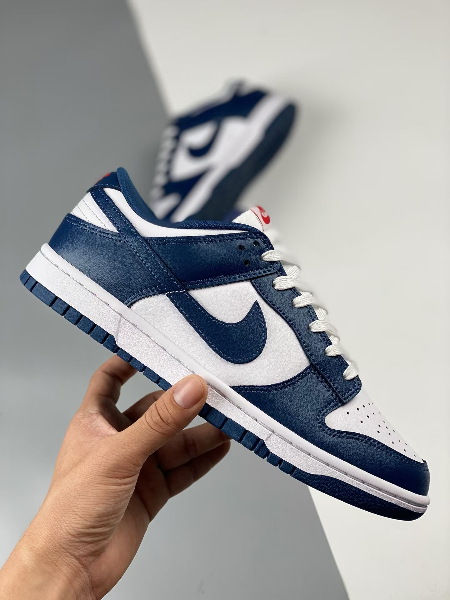 Nike dunk low sneakers