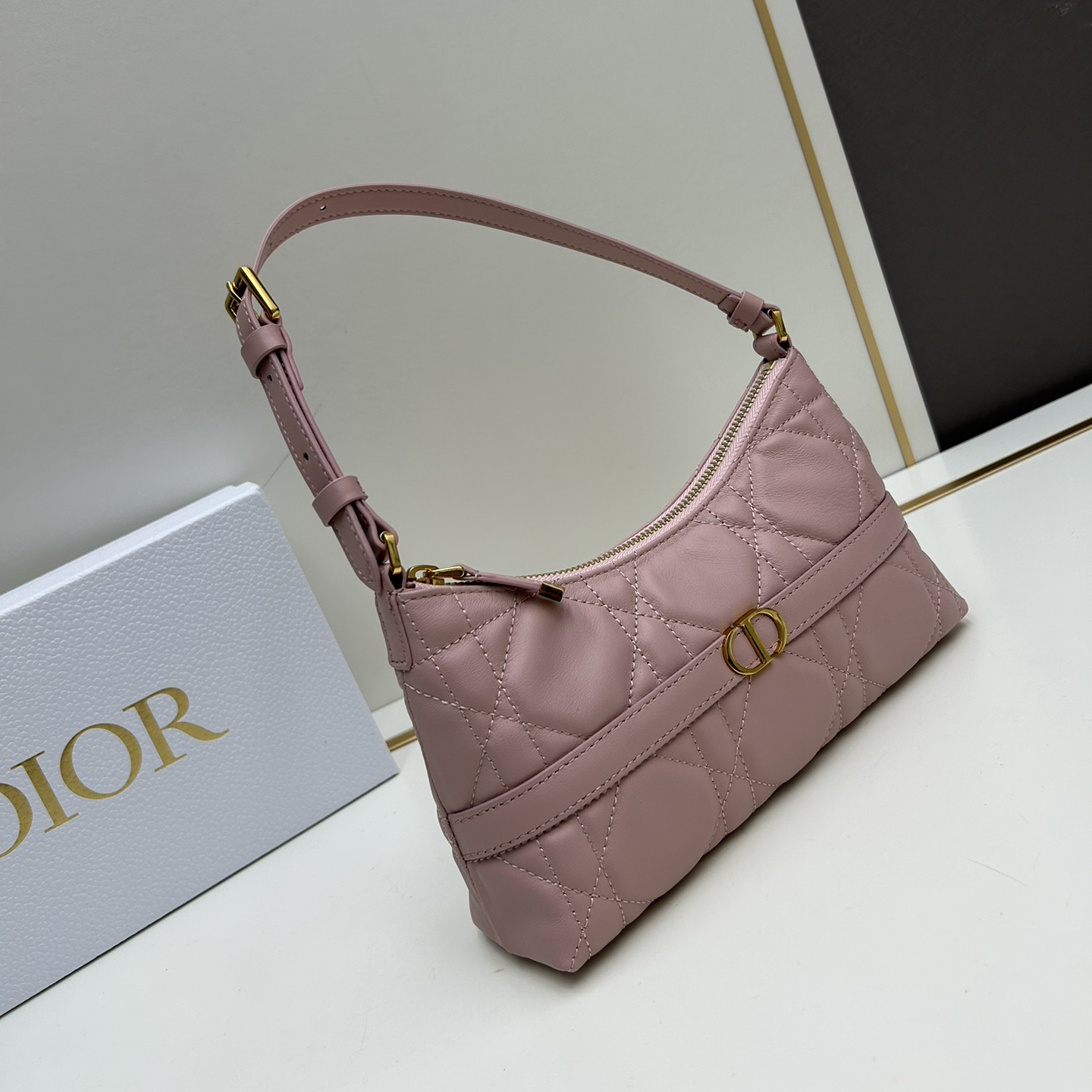 Dior oblique shoulder dumpling bag