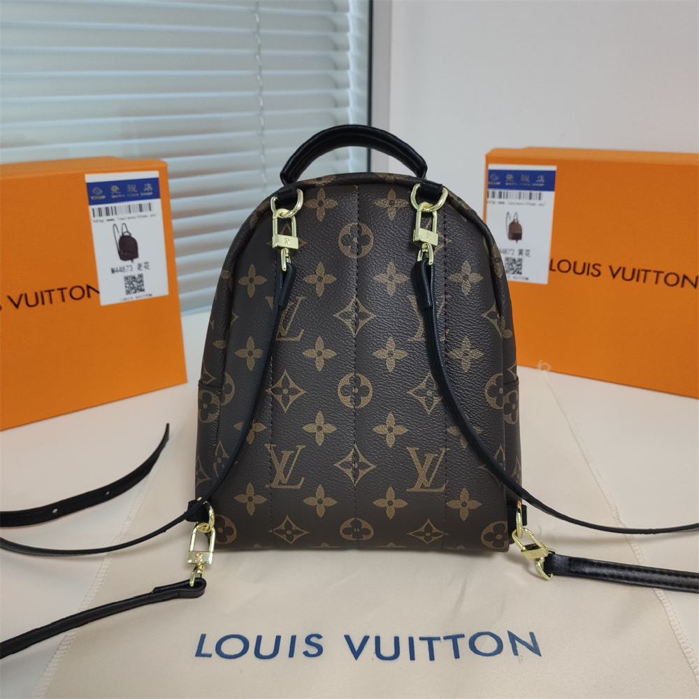 LV Replica Louis Vuitton Palm Springs Backpack