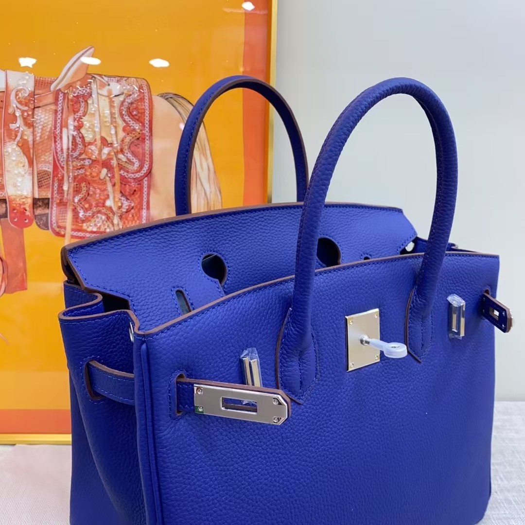 Hermes Birkin Lichee Pattern tote handbag