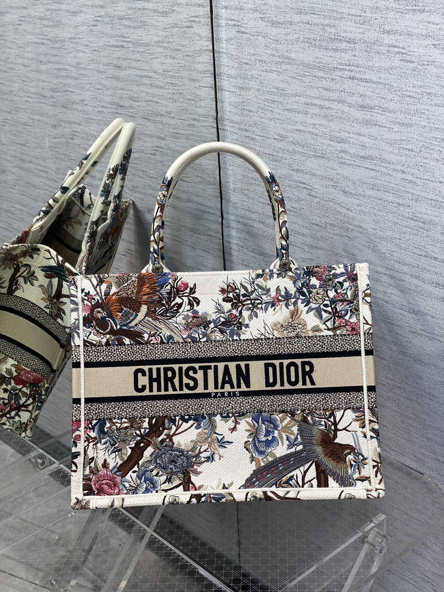 Replica Dior  Canvas Embroidered Medium Jardin D'Hiver Book Tote Bag