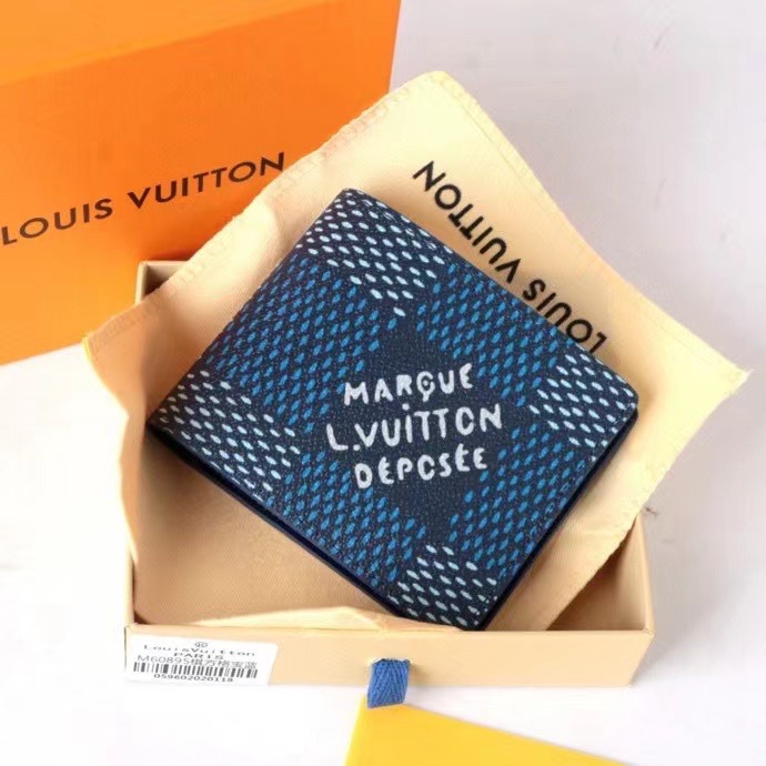 LV Damier Graphite Epi wallet Card holder