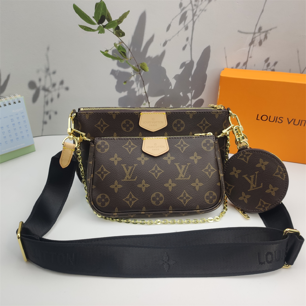 LV Louis Vuitton Multi Pochette Accessories bag