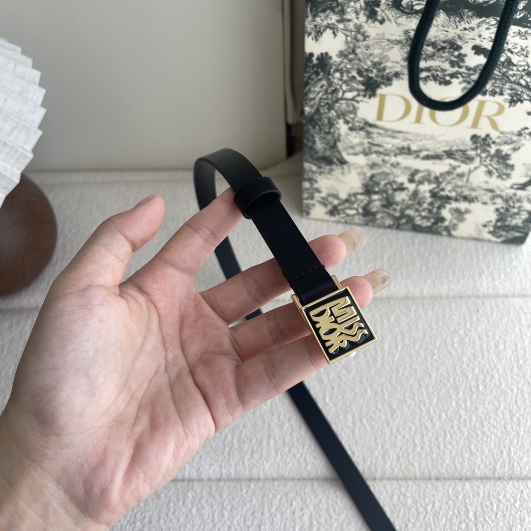 Dior belt