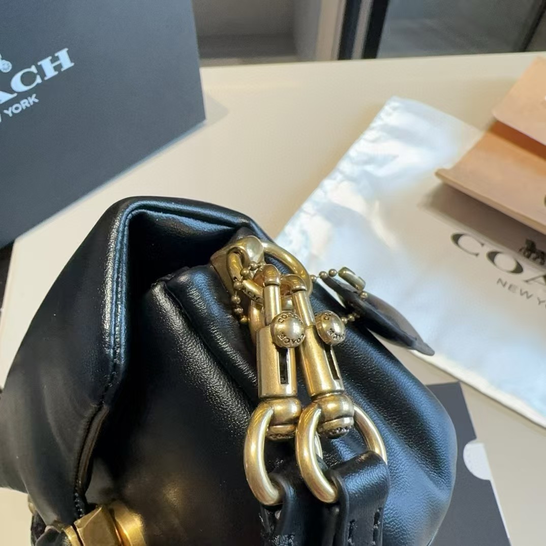 High quality Coach pillow soft tabby bag