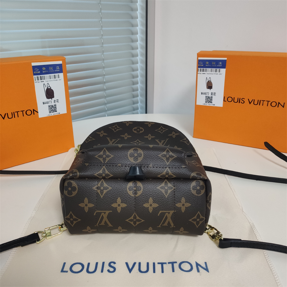 LV Replica Louis Vuitton Palm Springs Backpack