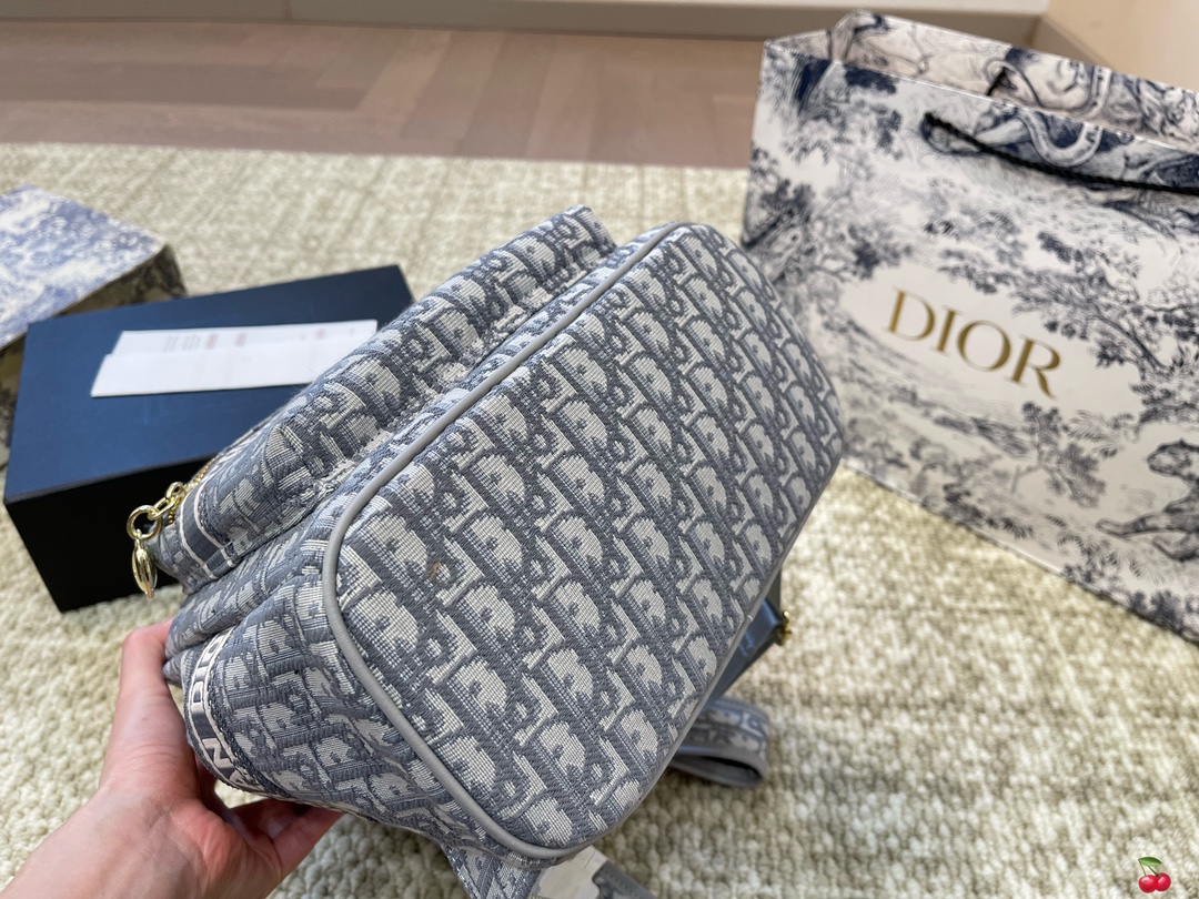 Repica Dior Travel Backpack