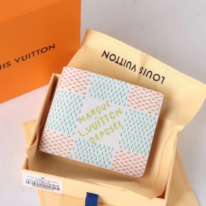 LV Damier Graphite Epi wallet Card holder