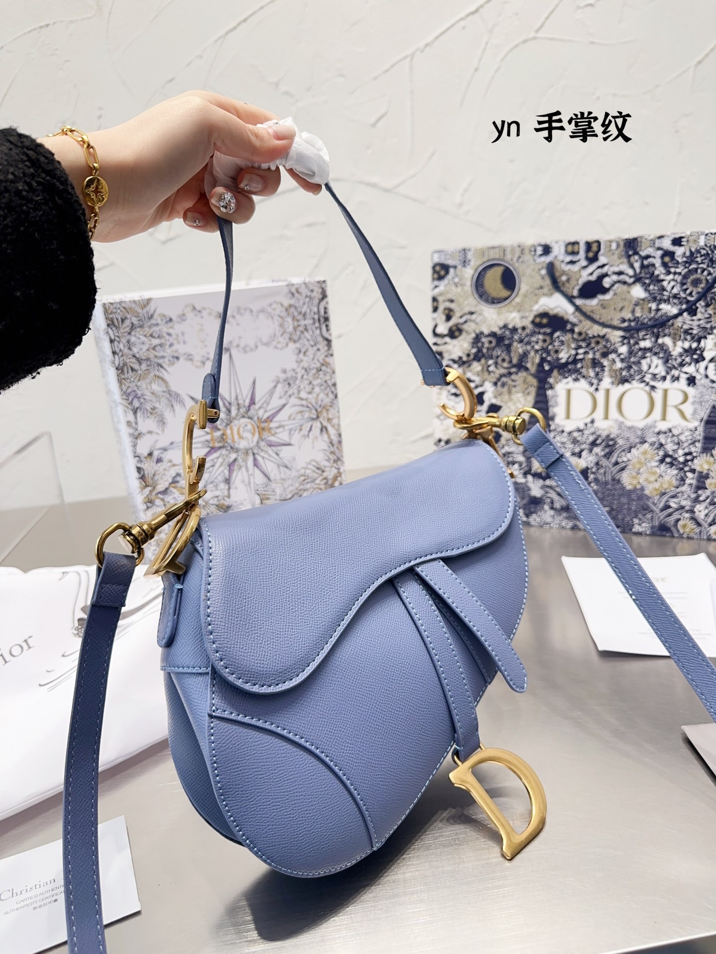 Dior saddle bag