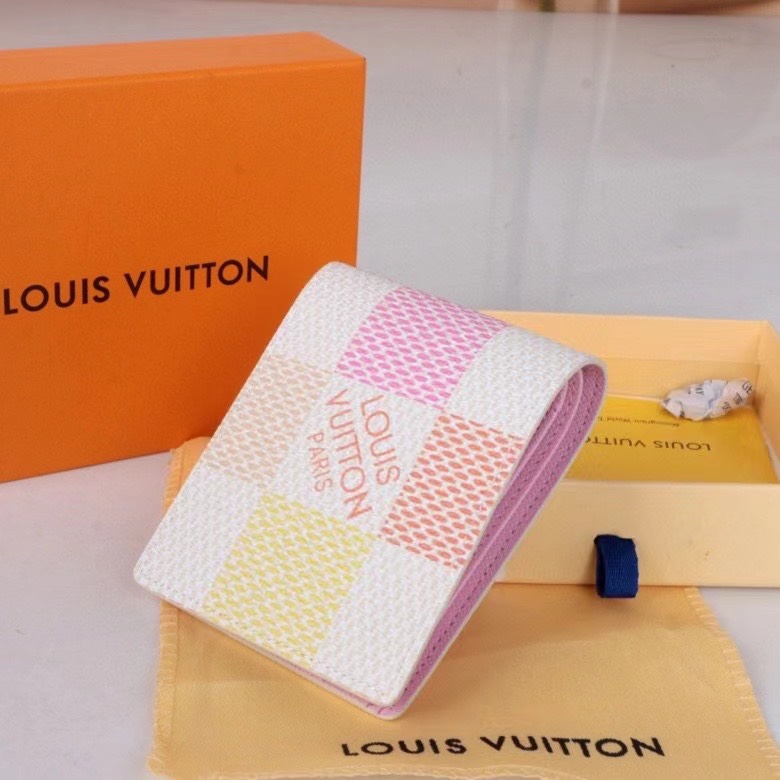 LV Damier Graphite Epi wallet Card holder