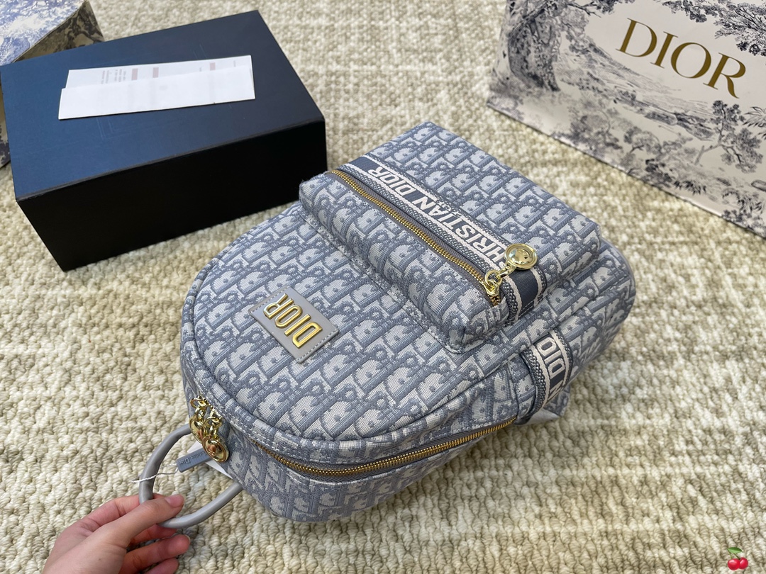 Repica Dior Travel Backpack