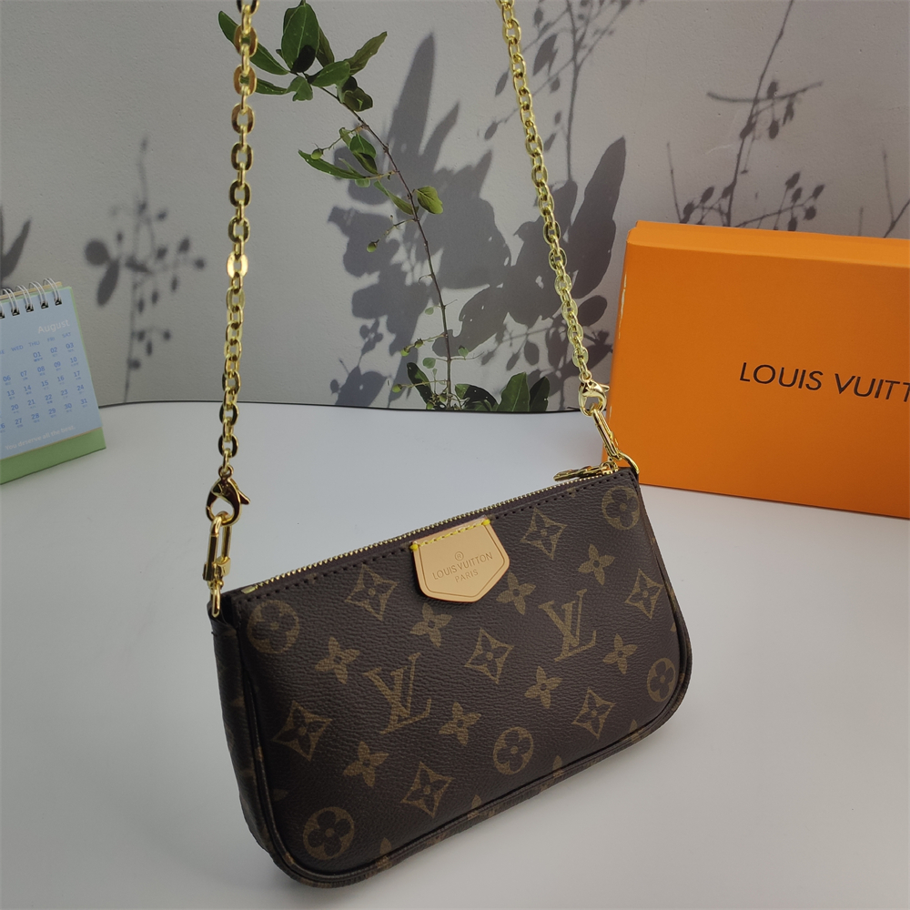LV Louis Vuitton Multi Pochette Accessories bag