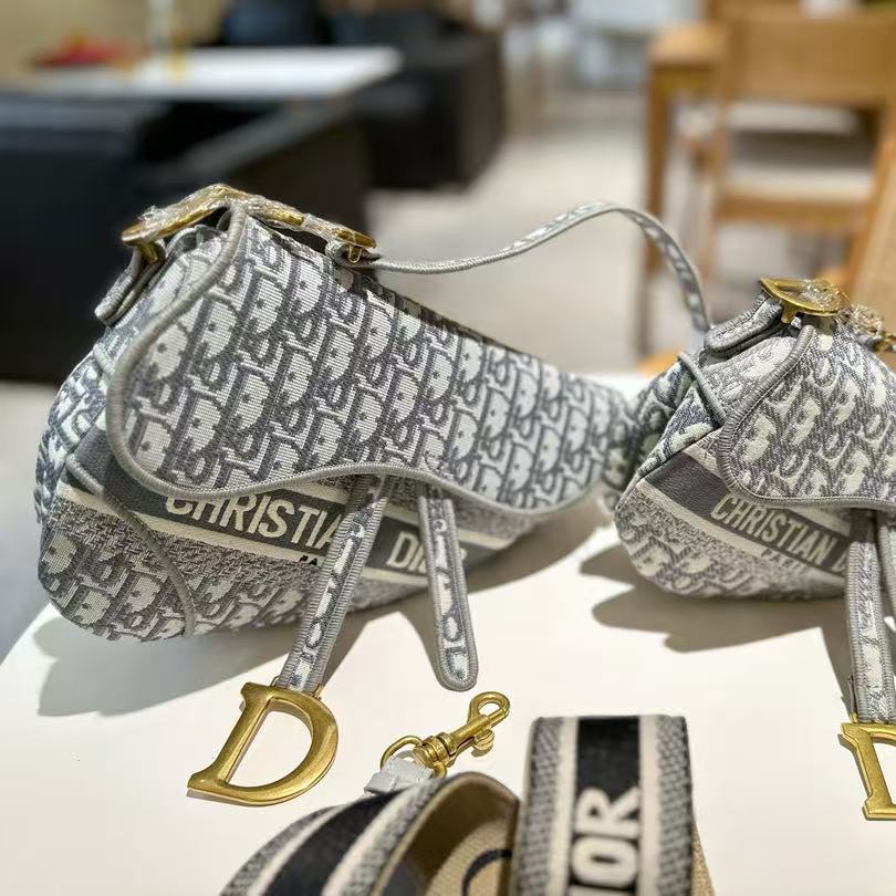 The Latest Dior Saddle Bag