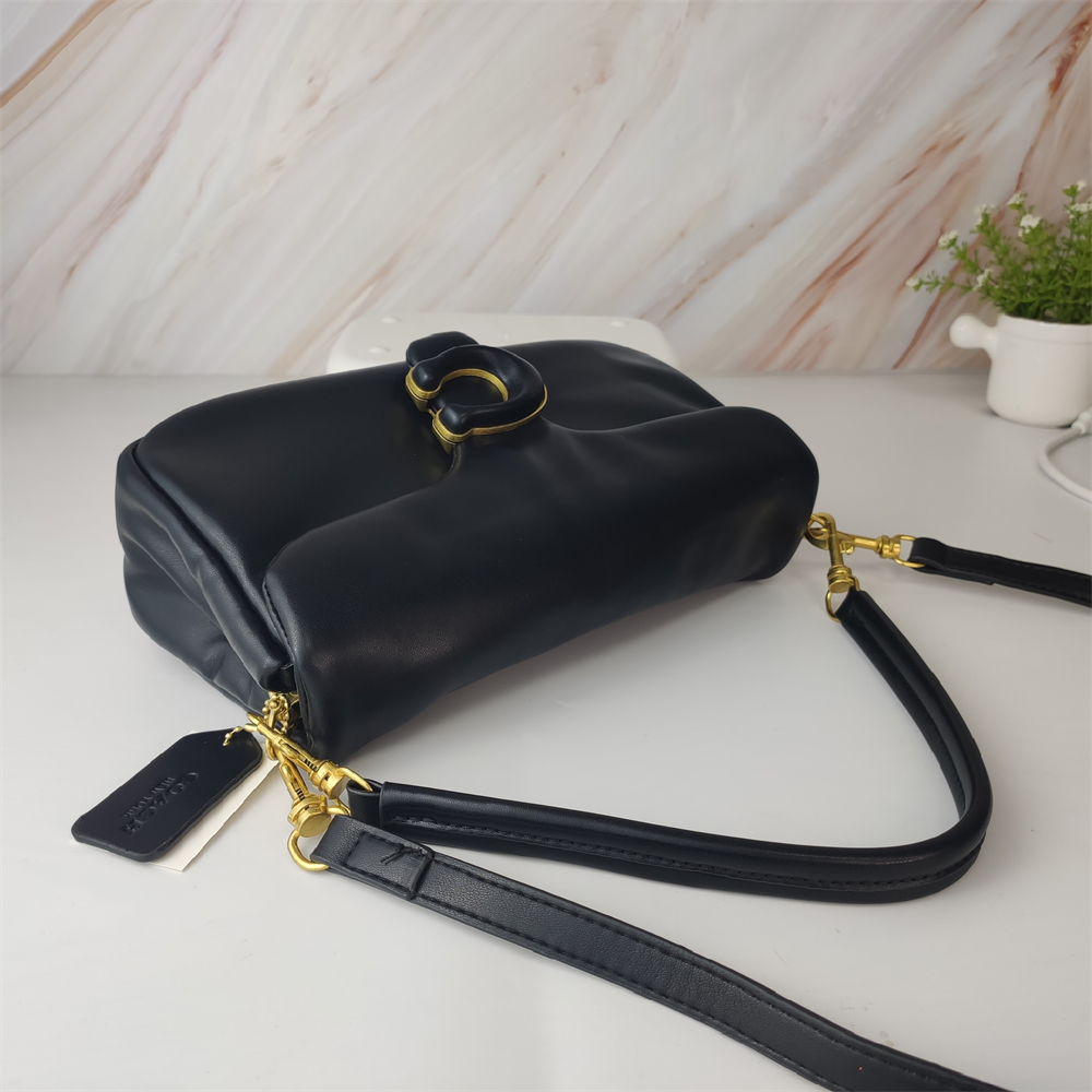 Coach Teri Shoulder Bag In Signature Canvas 20CM