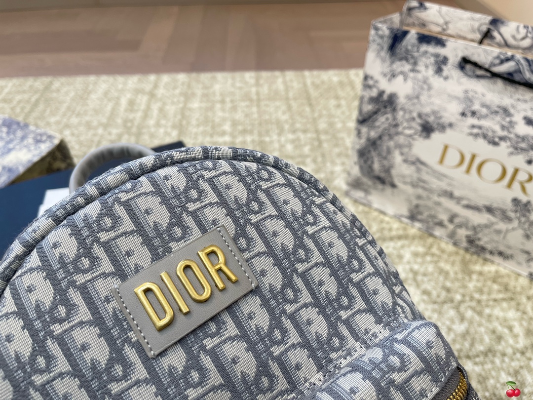 Repica Dior Travel Backpack
