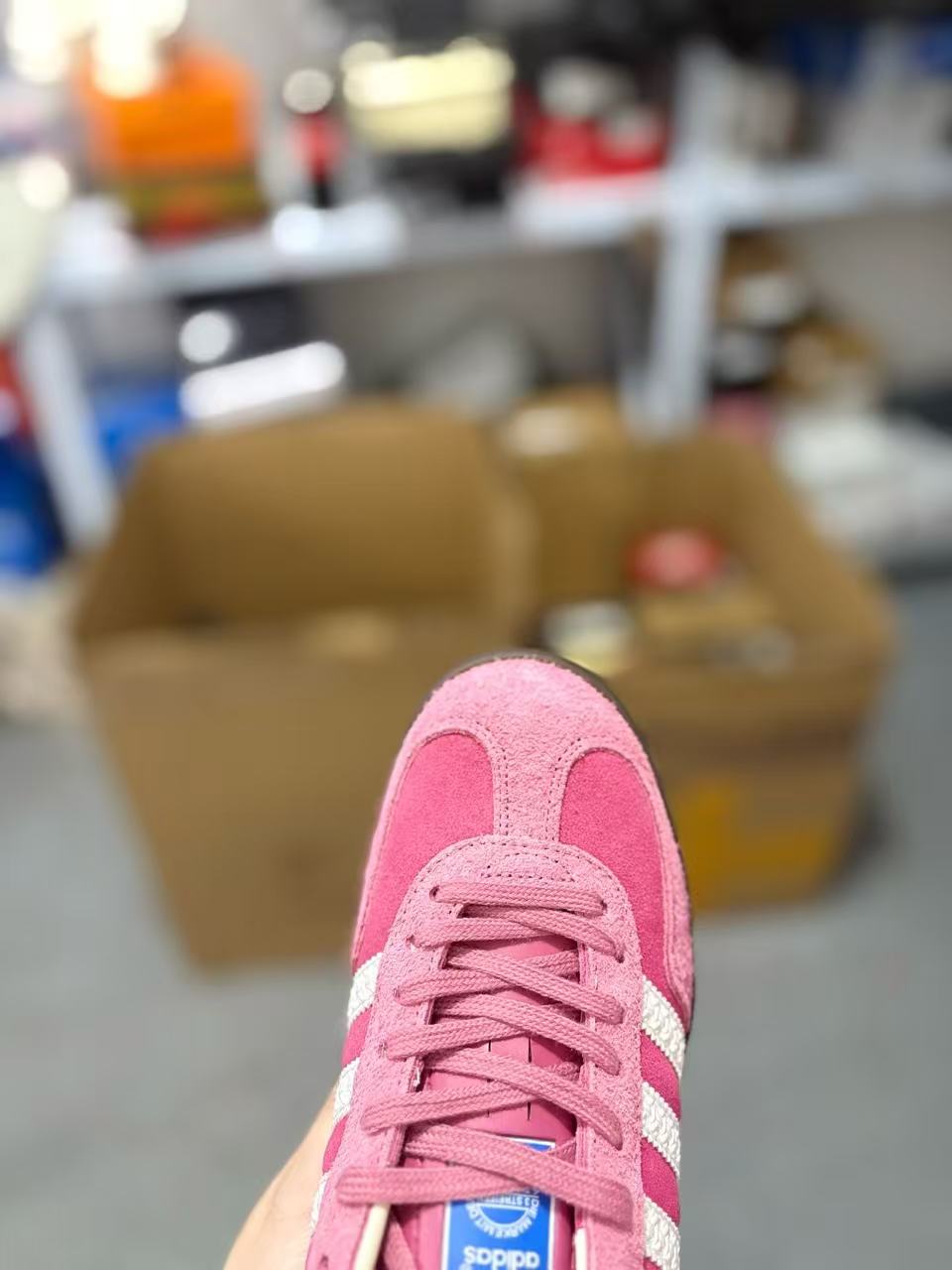 Adidas gazelle indoor trainers