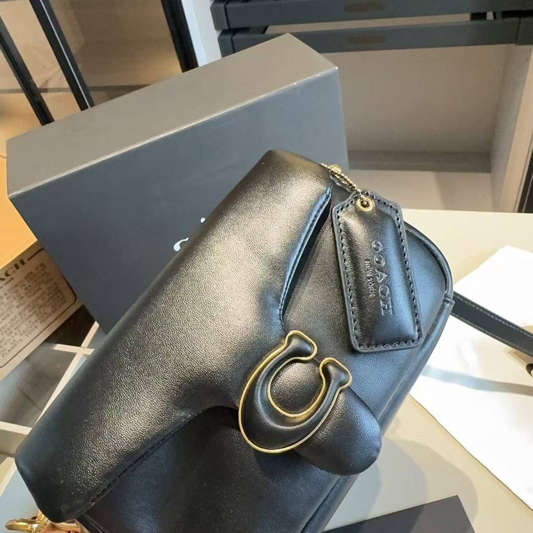 High quality Coach pillow soft tabby bag