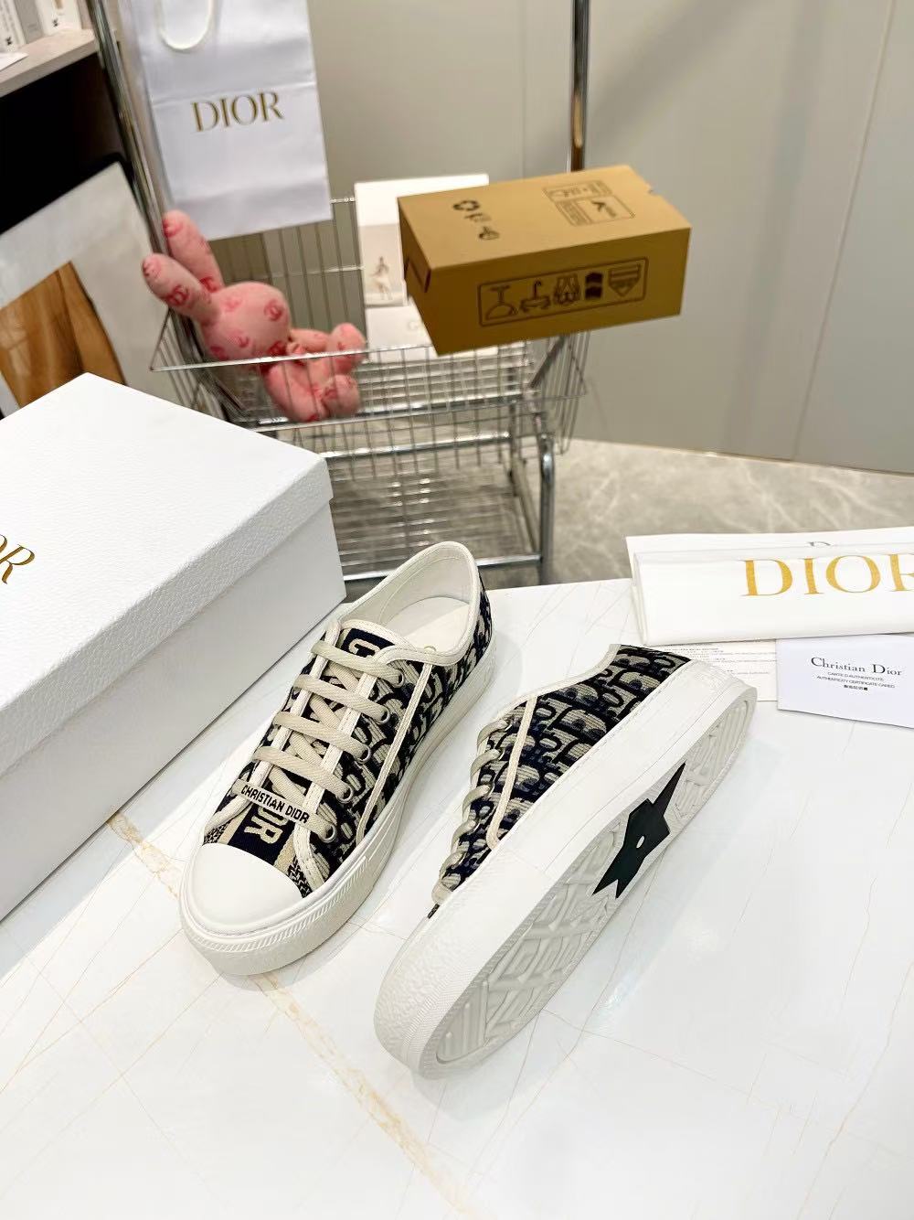 DIOR classic embroidered casual shoes