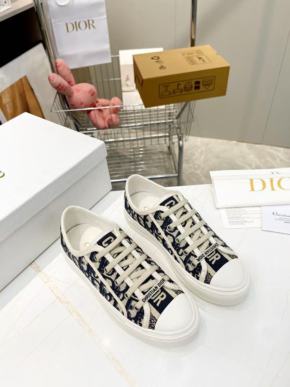 DIOR classic embroidered casual shoes