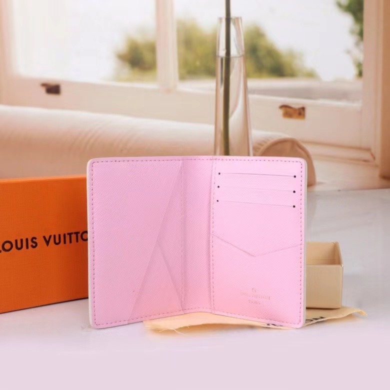 LV Damier Graphite Epi wallet Card holder