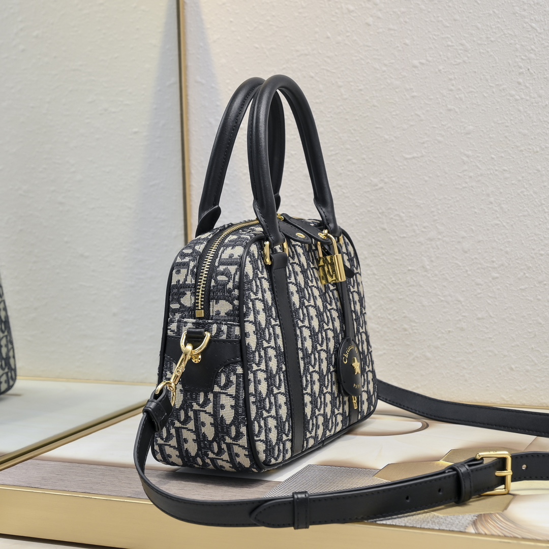 Dior D-Vibe Oblique handbag