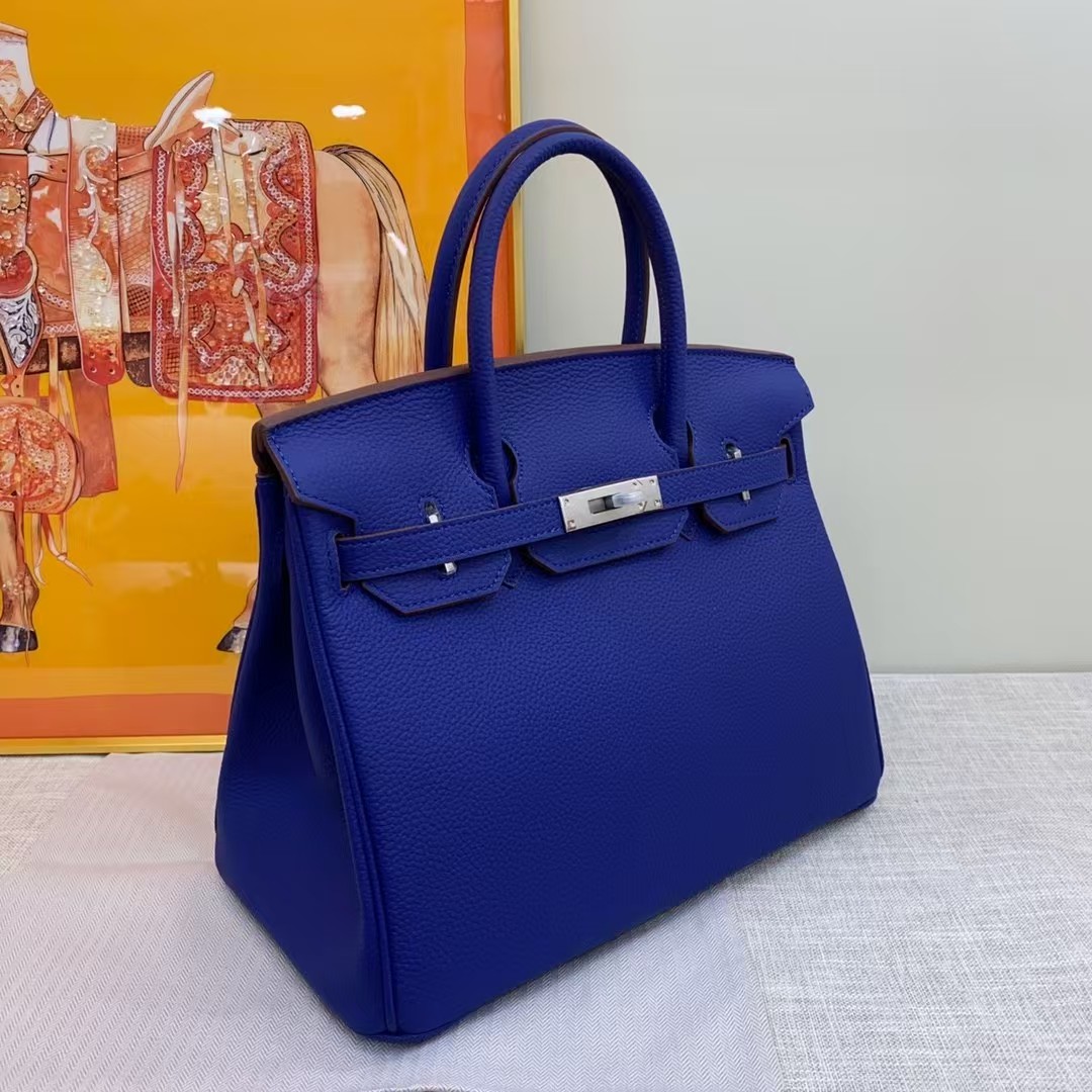 Hermes Birkin Lichee Pattern tote handbag
