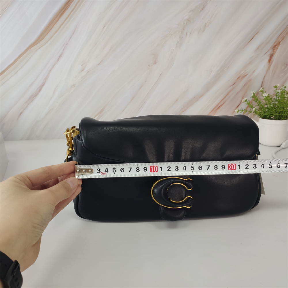 Coach Teri Shoulder Bag In Signature Canvas 20CM