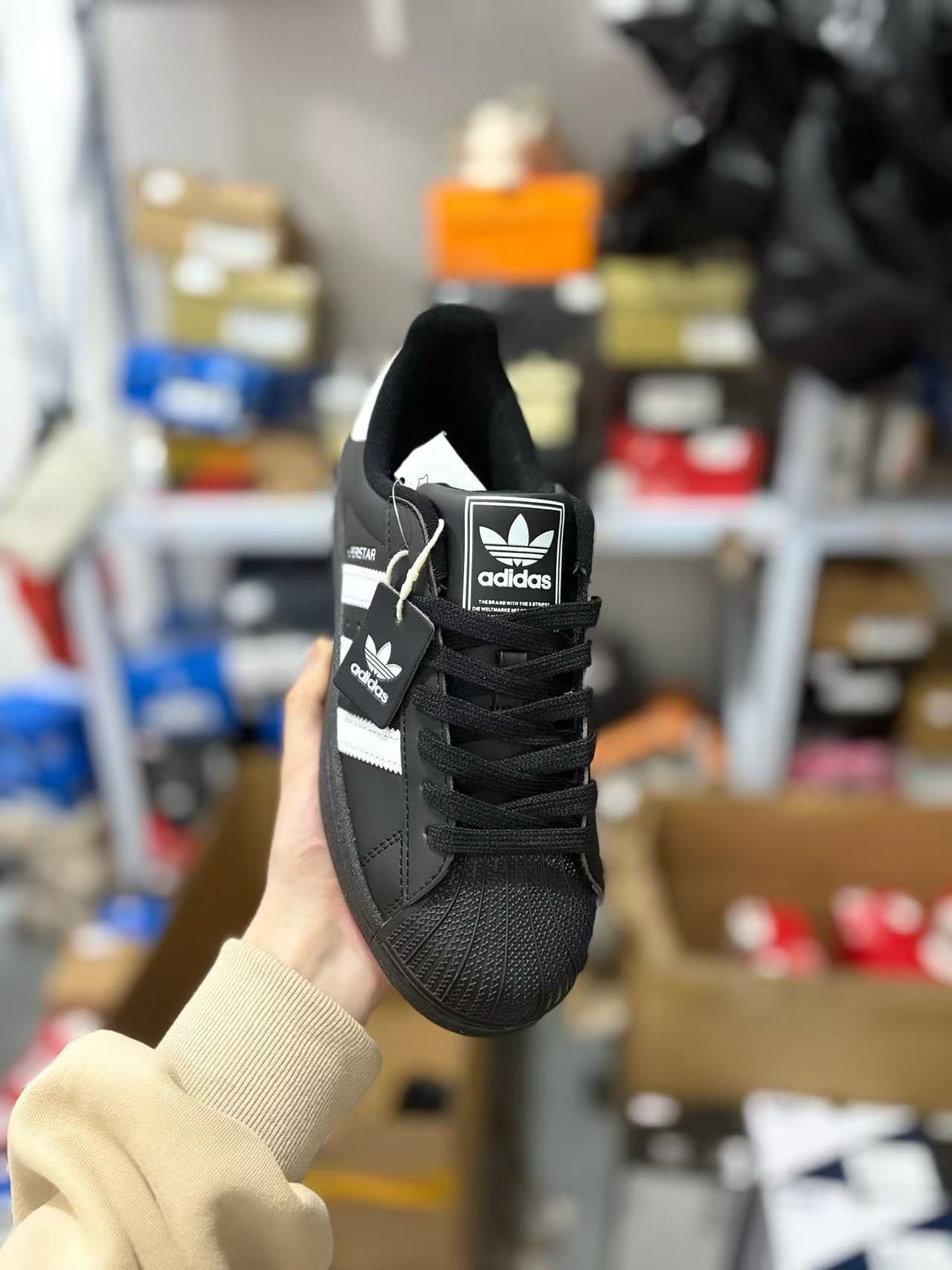 Adidas classic shell shoes