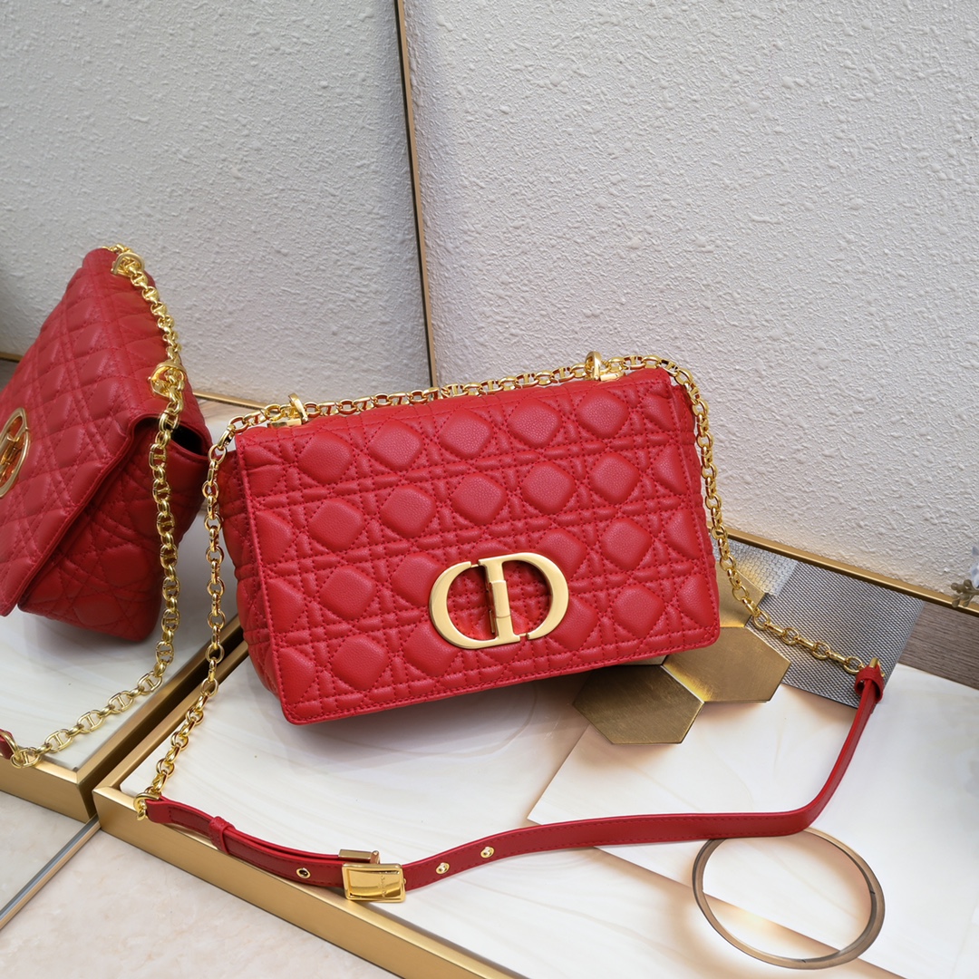 Dior Grid pattern chain crossbody shoulder bag