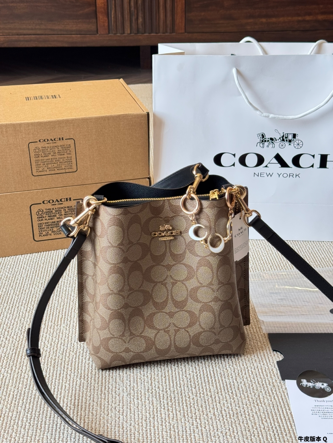 Coach Mollie Bucket Series Bucket Bag