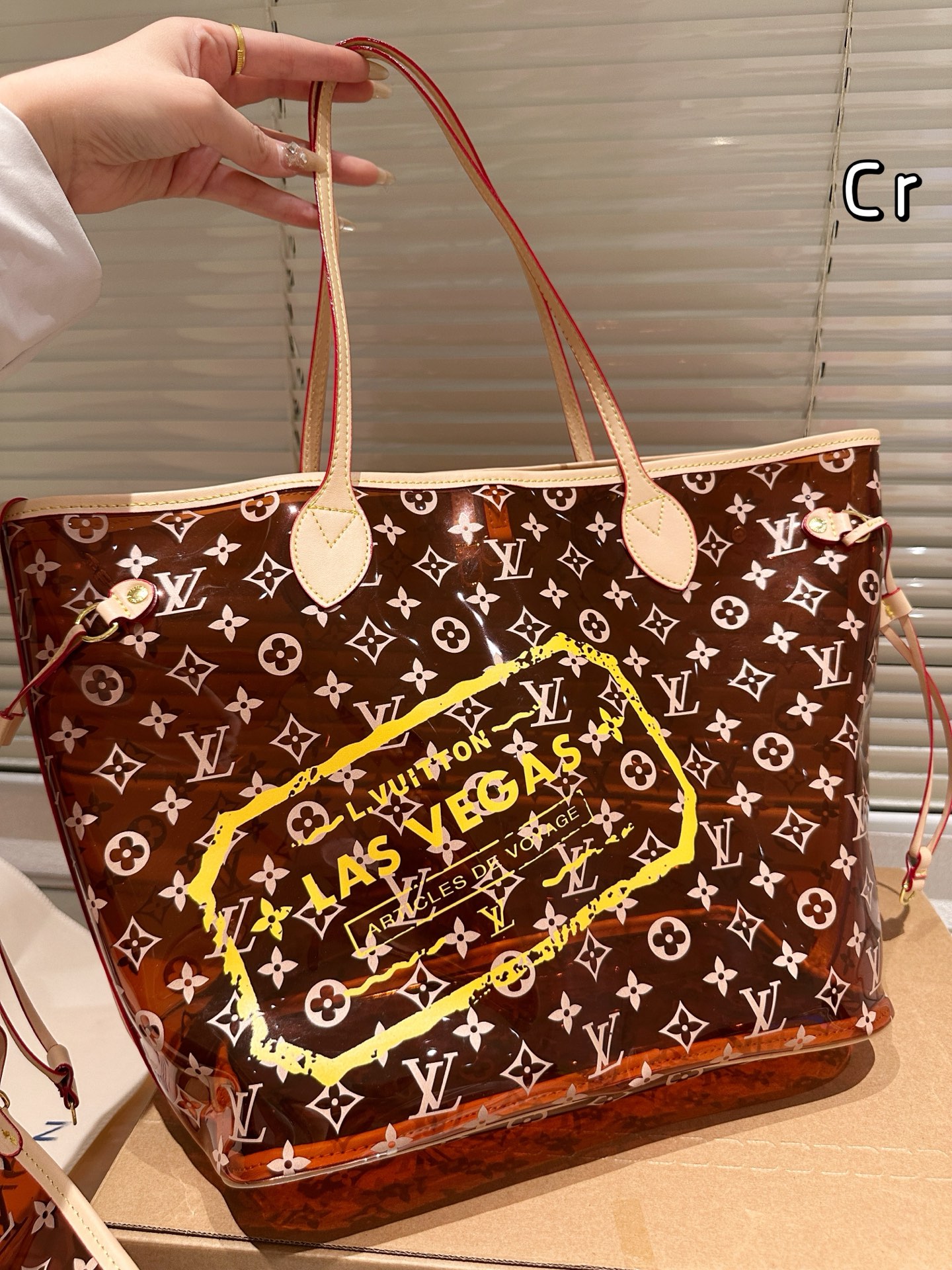 LV transparent bag