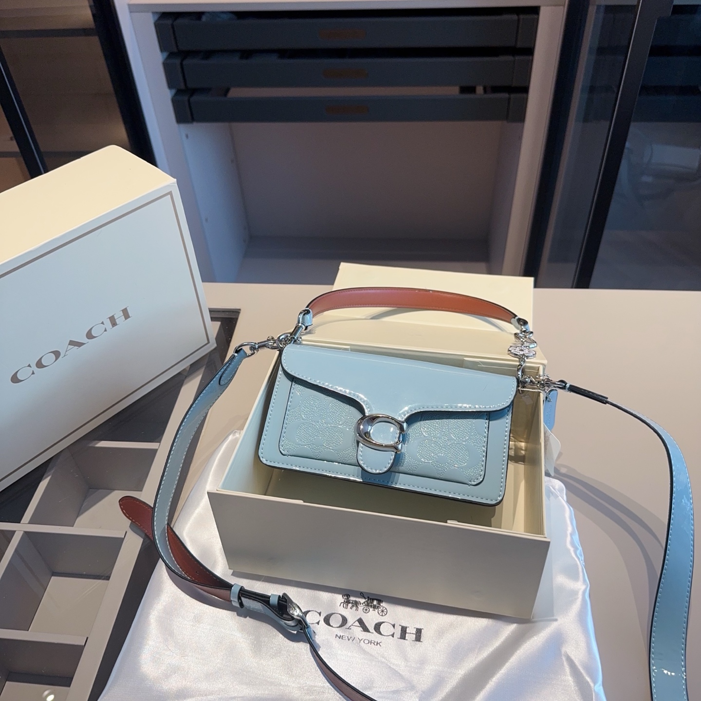 Coach's new patent leather embossed Dionysus bag tall version