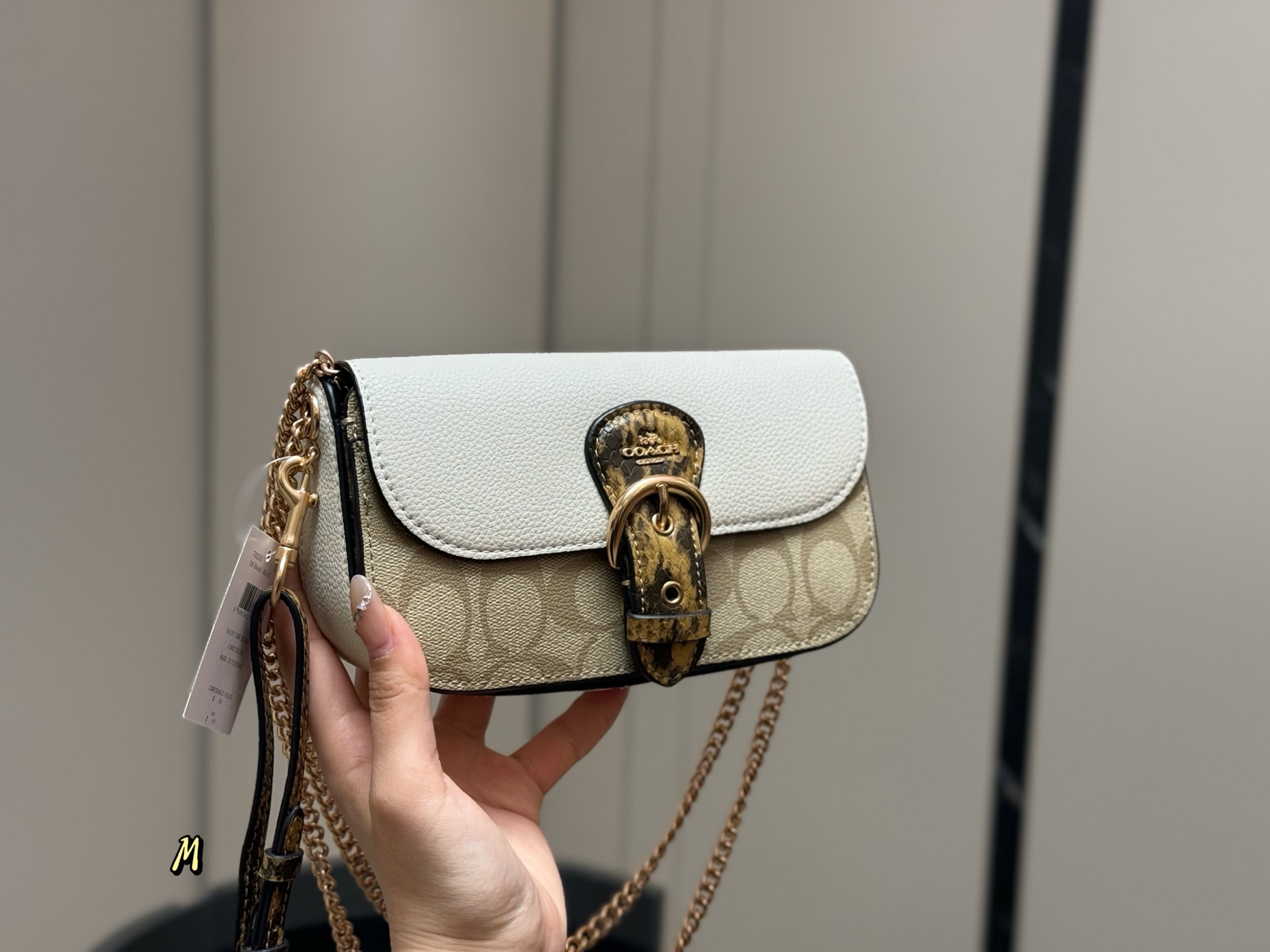 COACH chain bag