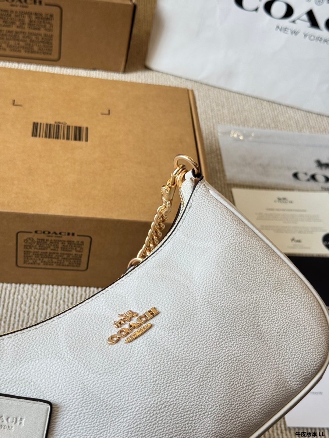 Coach Teri series armpit bag