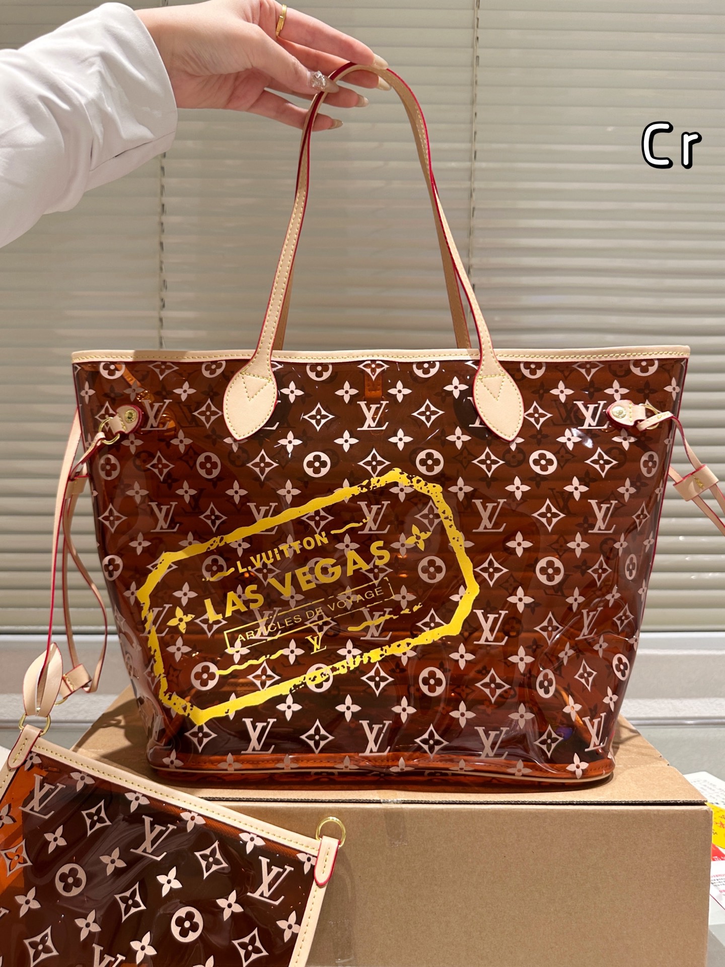 LV transparent bag