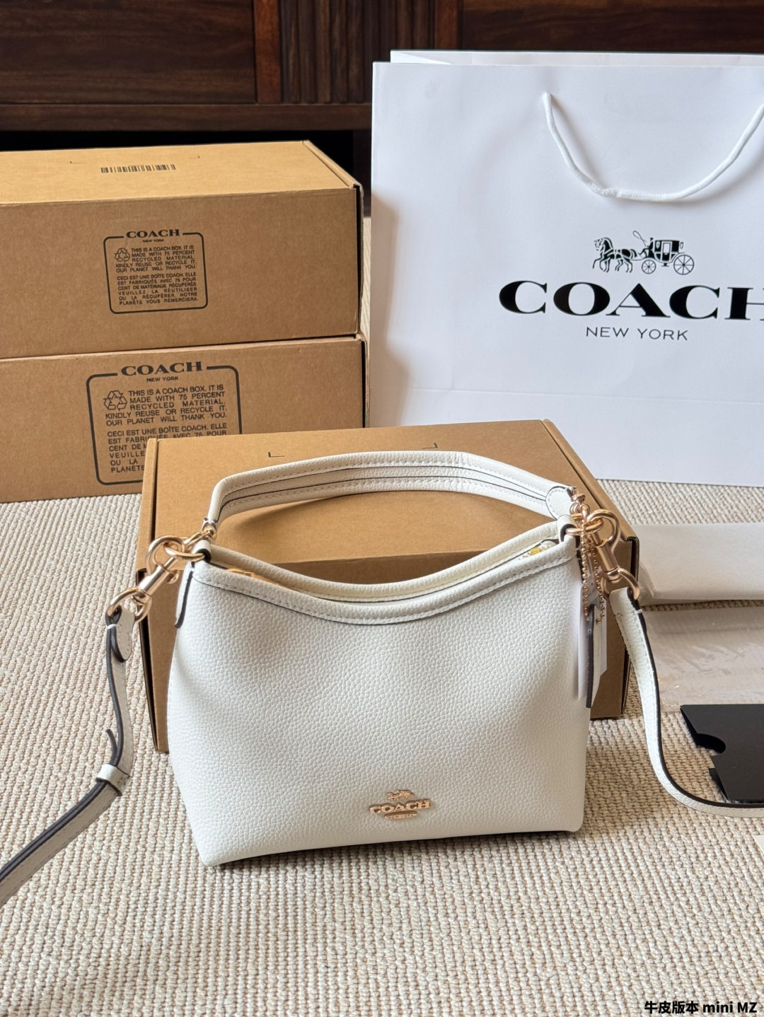 Coach's new laurel 19 hobo bag