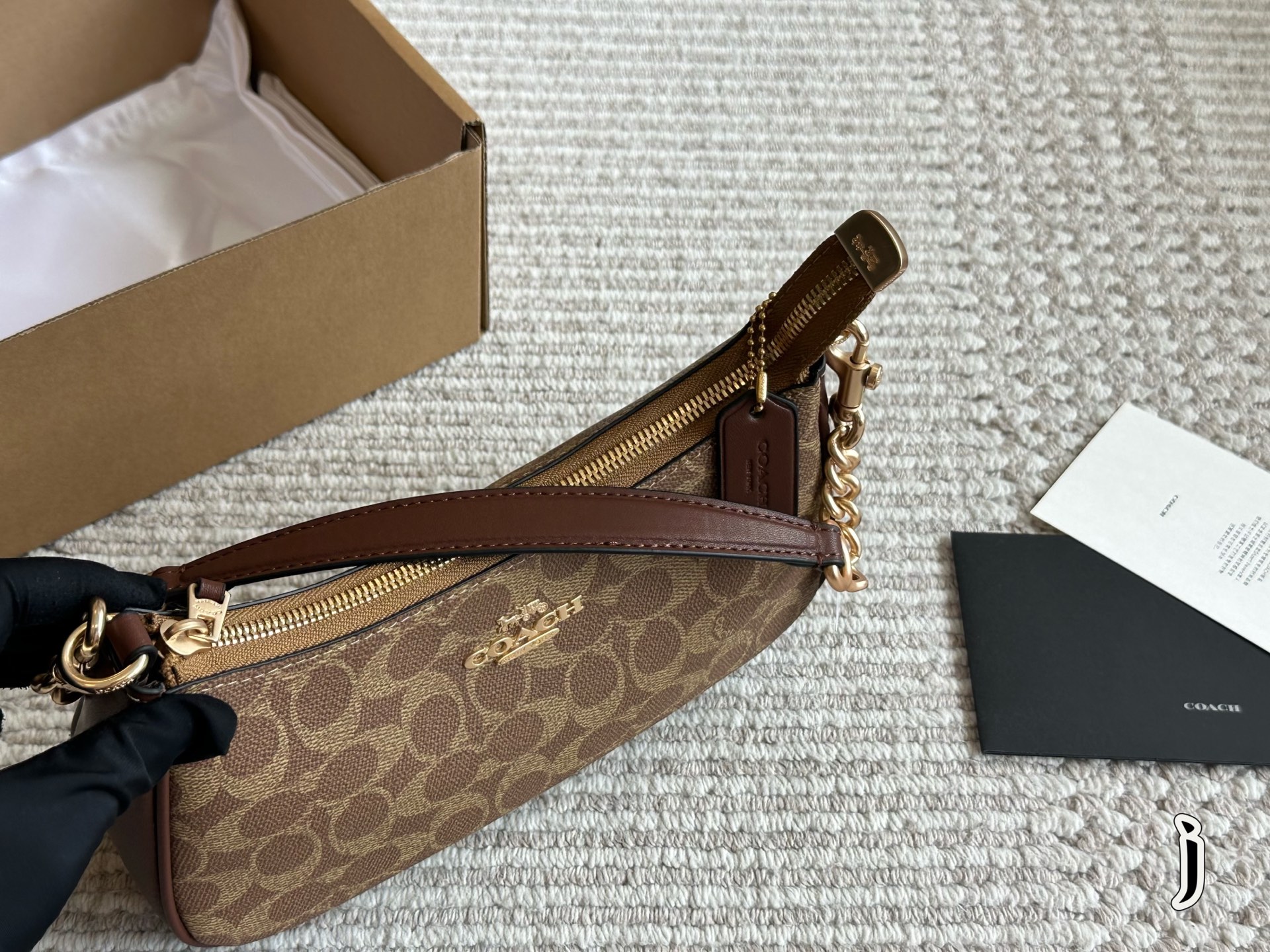 Coach Teri Underarm Bag